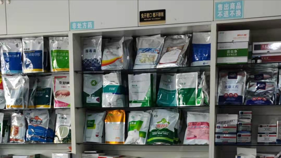 玉米维持1.4元，饲料突然降价，养猪户期盼的事还是来了