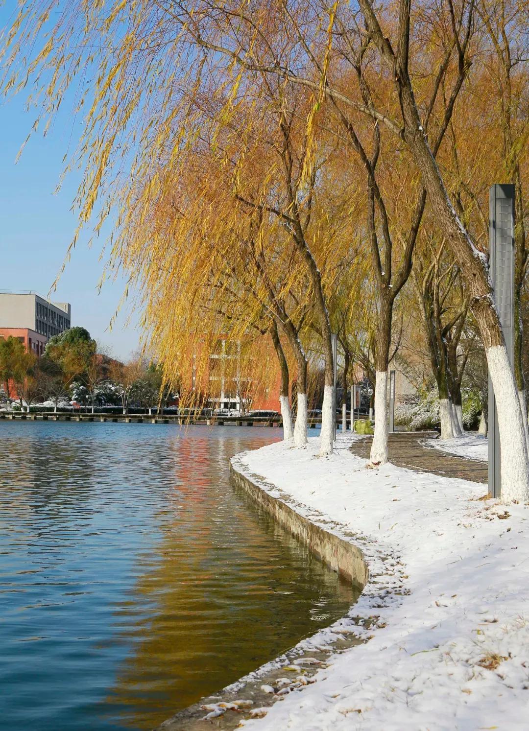 安徽新華學院是幾本?是什么性質學校(圖24)