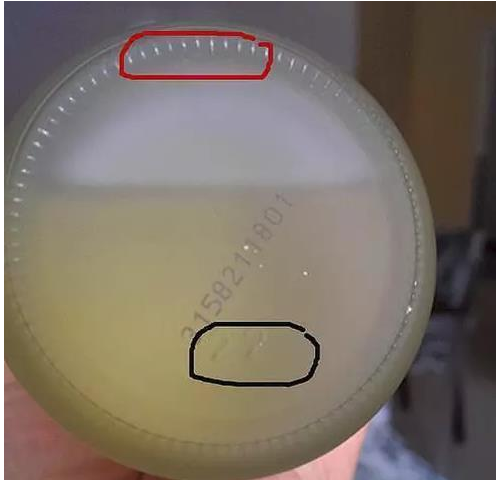 你的神仙水是真的吗？手把手教会你鉴别
