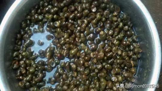 放生的师兄们请一定要看，请大家大量传播此文，无量功德