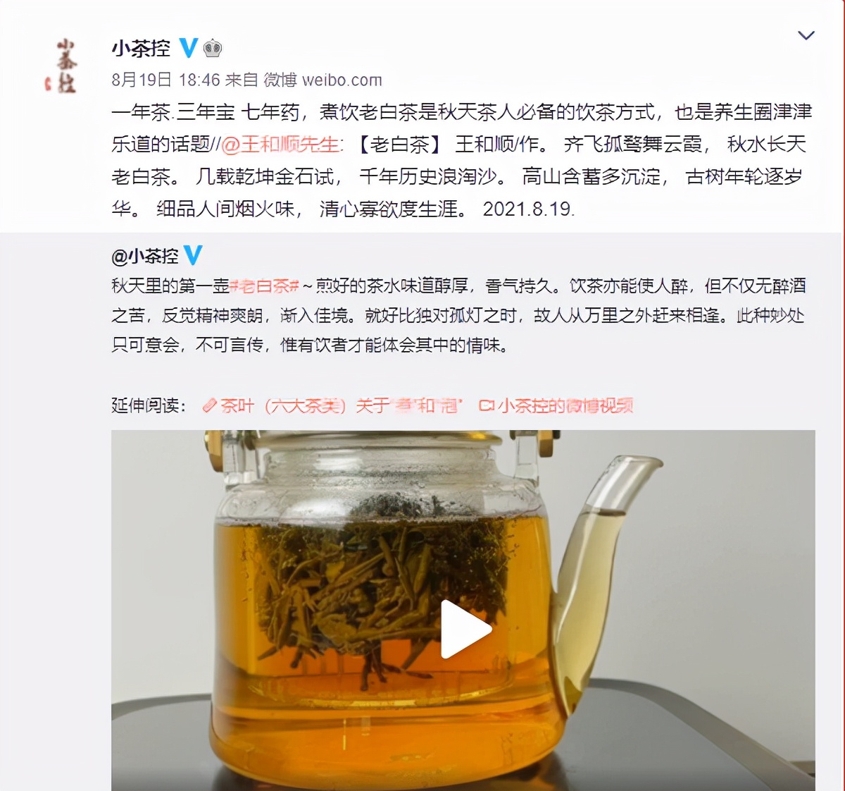 不止养生，更香醇 秋季的第一壶古树老白茶烹煮