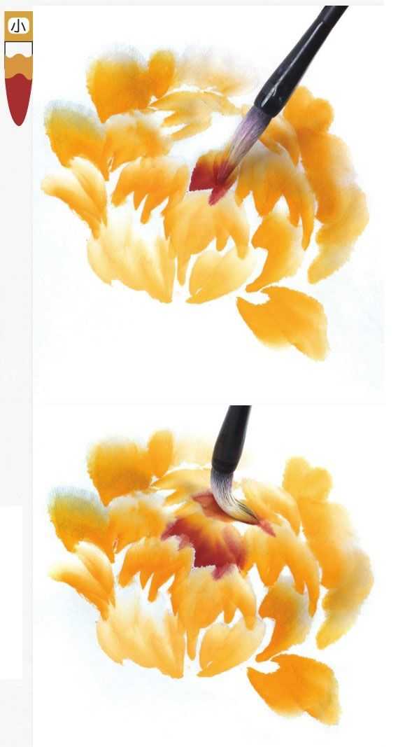 不同颜色牡丹怎么画？3种牡丹图解教你画，适合0基础学习，收藏