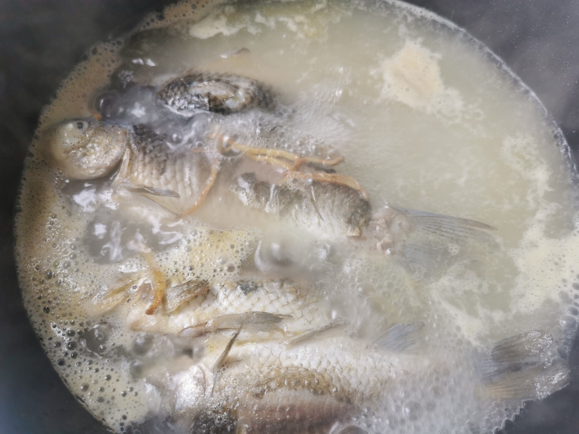 不管用什么鱼熬汤，记住这3点，鱼汤浓白无腥味，老人孩子都爱喝