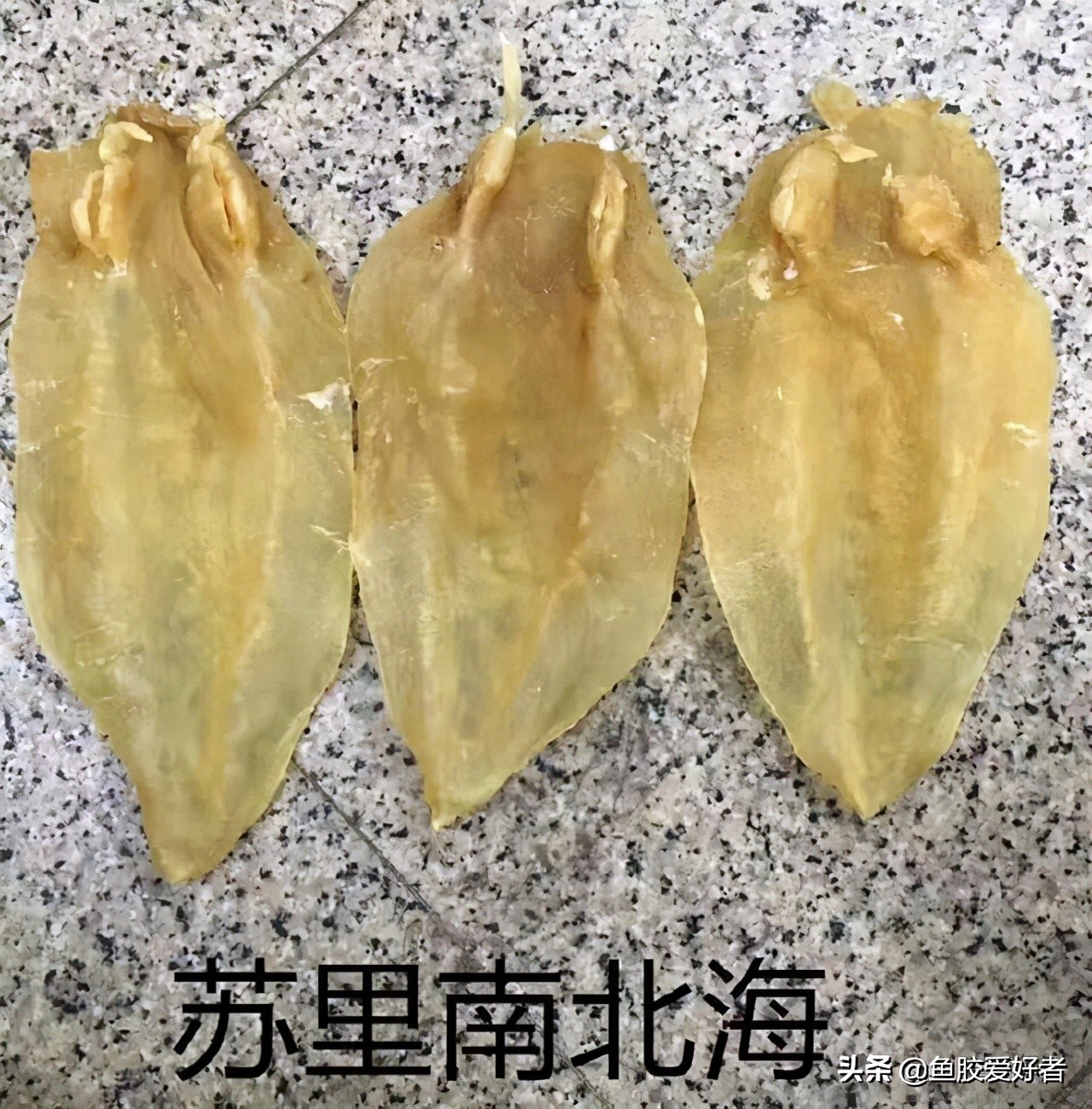 入门必备｜为什么鱼胶那么贵？原来决定鱼胶价格的因素是这些