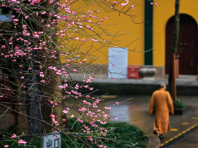 杭州旅游景点有哪些景点？杭州旅游十大必去打卡景点推荐-第33张图片