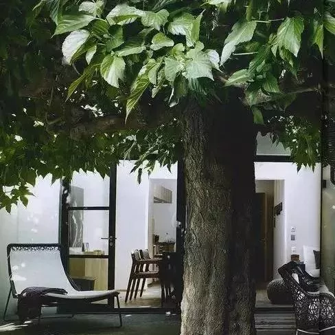 余生，想要一个院子，看花开花落