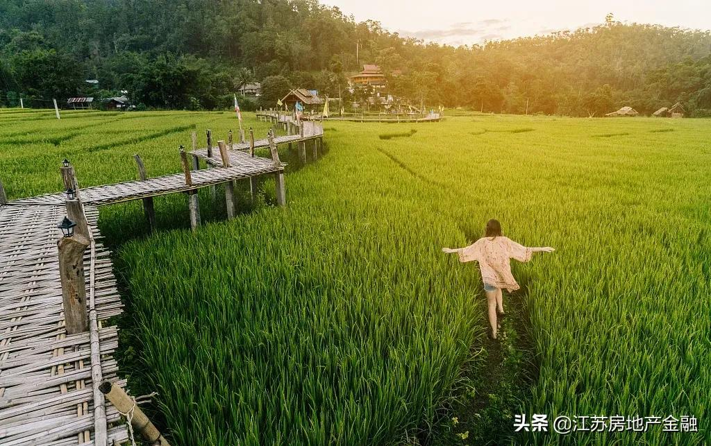 祇此桃李，美好共融｜蓝城·南京桃李春风美好生活发布会风雅启幕