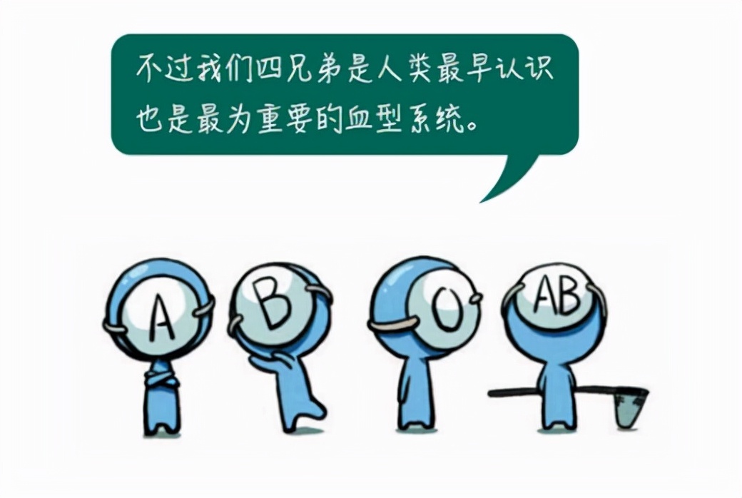 “B型血开朗，O型血长寿”，有没有科学依据？血型真这么重要吗？