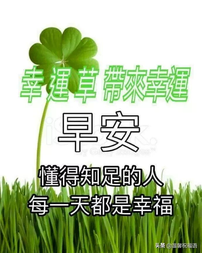 早上好，11月16日，祝友友们开心没烦恼，好运天天到