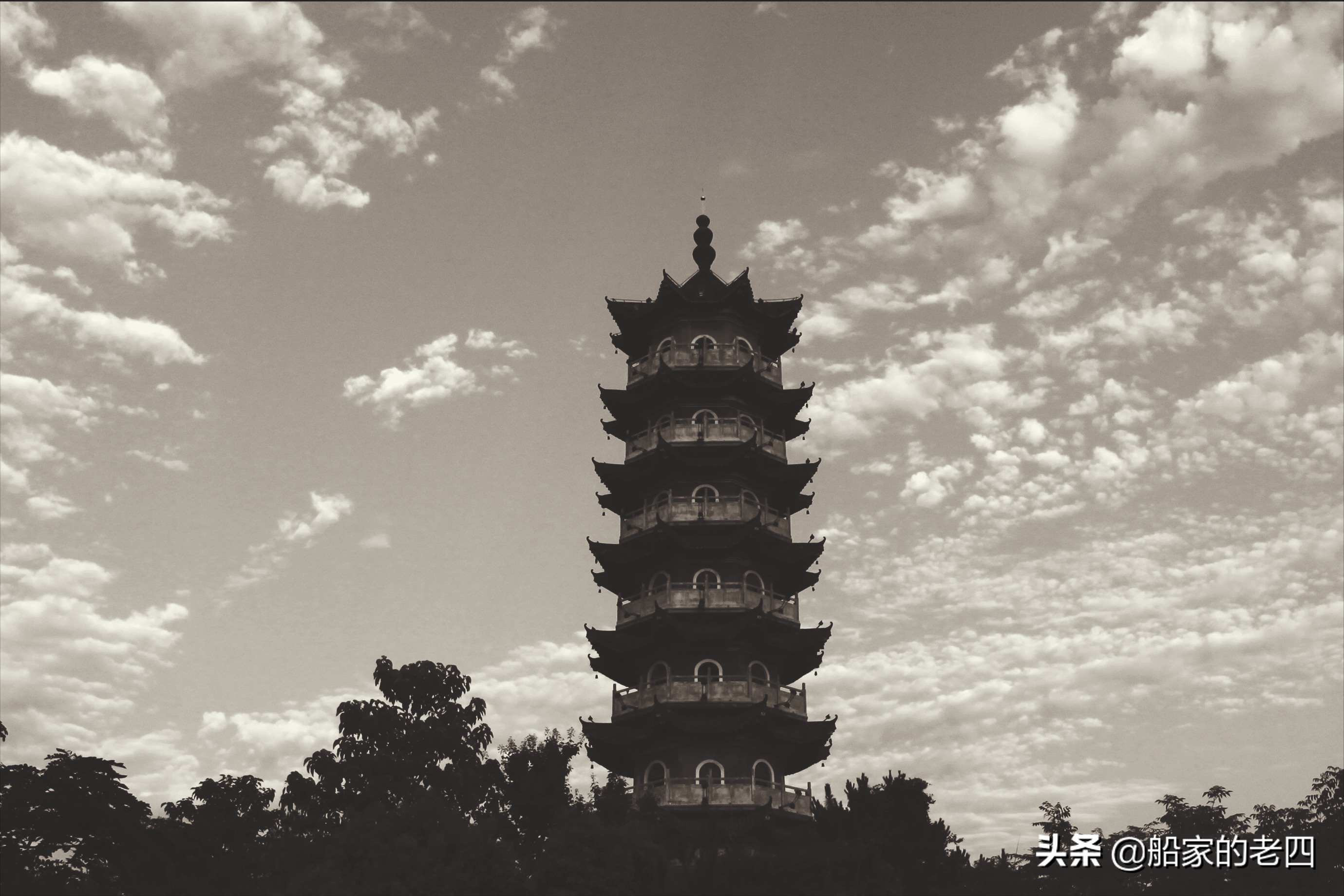 「晨读」张焕喜：此生最忆祖辈恩