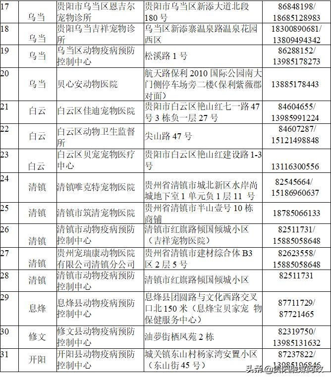 到哪里给狗狗接种狂犬疫苗？机构名单看这里｜融媒问政·市民关注