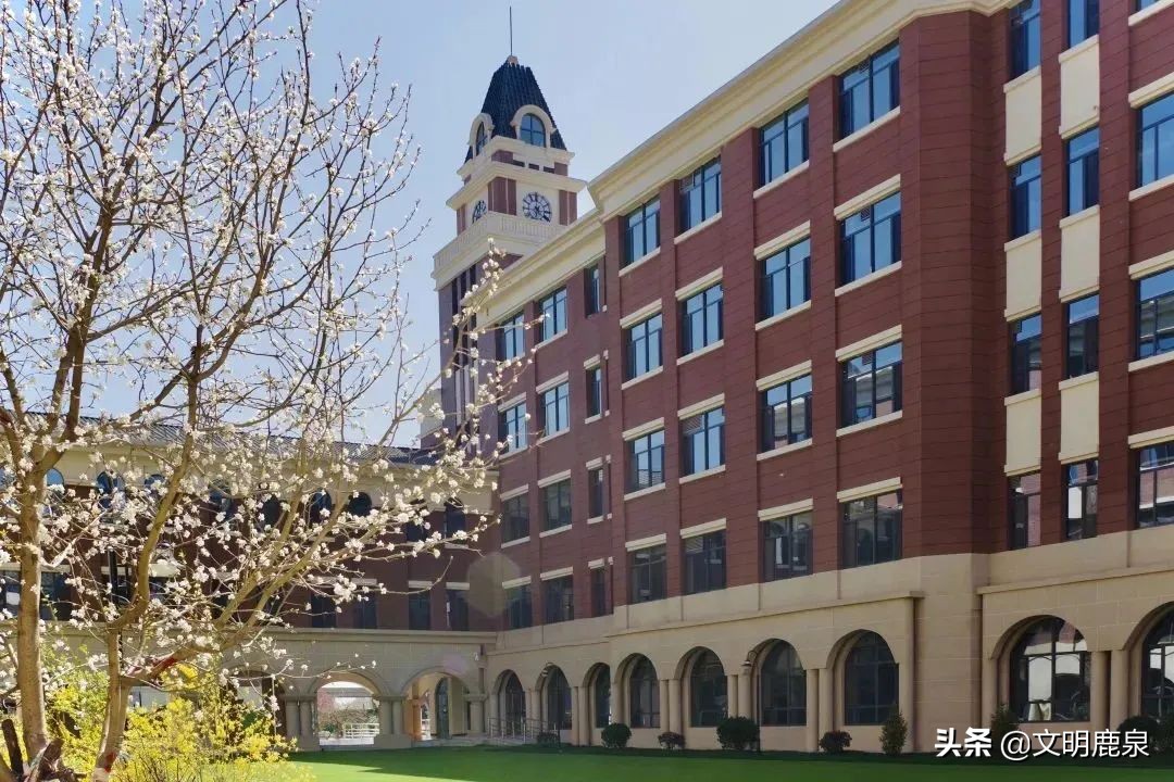 北外附属石家庄外国语学校第二轮报名即将开启，面向石家庄市招生！