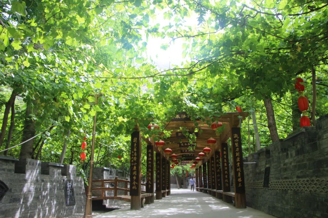 「国庆游甘南」7条线路，带您畅游大美甘南