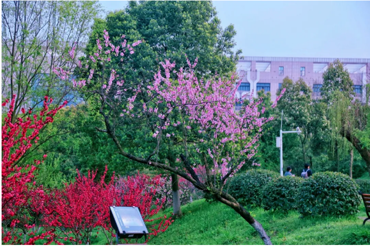 胡耀邦题写校名！全职院士“坐镇”！湖北这所高校还走出全国冠军