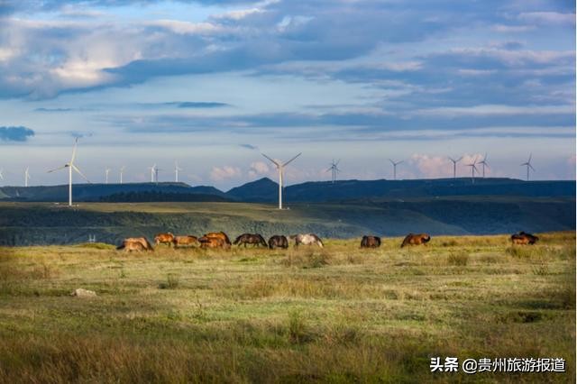“5·19中国旅游日”贵州龙里一大波门票优惠及旅游宣传活动来袭，你准备好了吗？