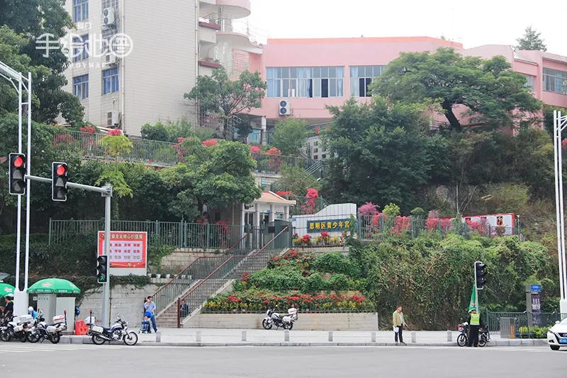 所有厦门人，你从小读到大的母校现在还在吗？