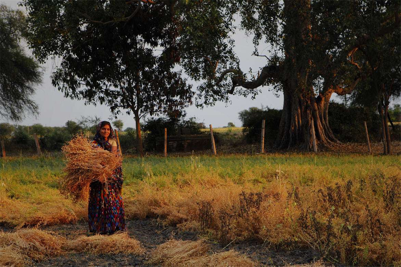 印度国土面积有多大多少平方千米及人口详解