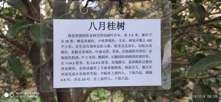 陪你一起看湖北省广水一中①——走进植物王国