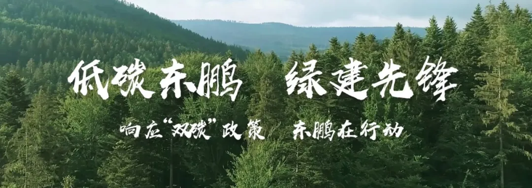 把握“智能和绿色”两个坚持,树立行业生产制造标杆