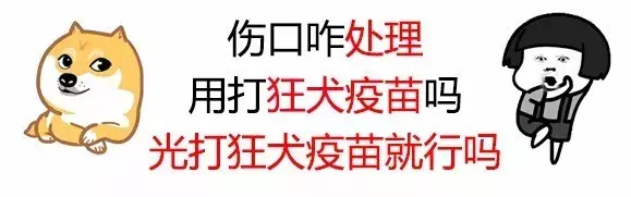传言99.8%的狂犬疫苗都不必打?这2个方式教您初步判断