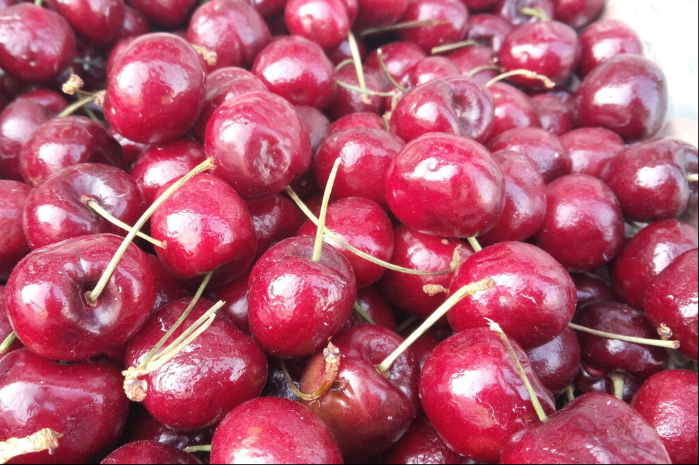 车厘子进入我国已经150年了，150年来，它都经历了什么？