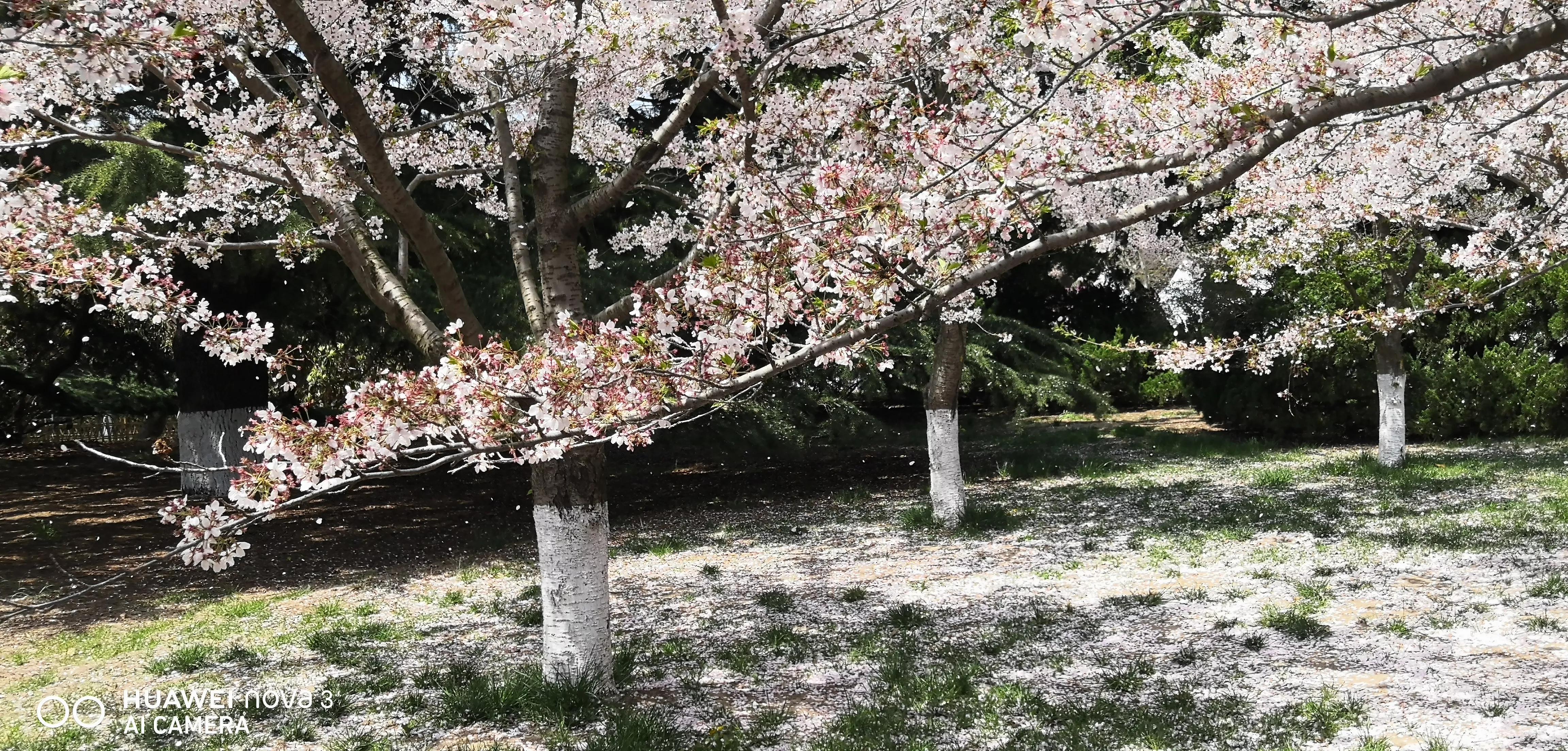 窗外有月光弄影，帘下有情思盈香