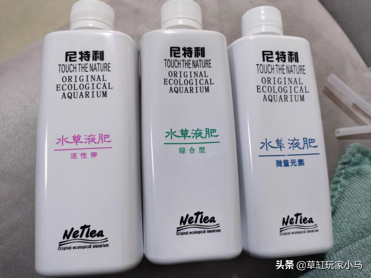 水草缸开缸后怎么控藻 4个方面控藻让水清鱼靓控藻的主要方法 抑制藻类生长的方法 开缸初期控藻