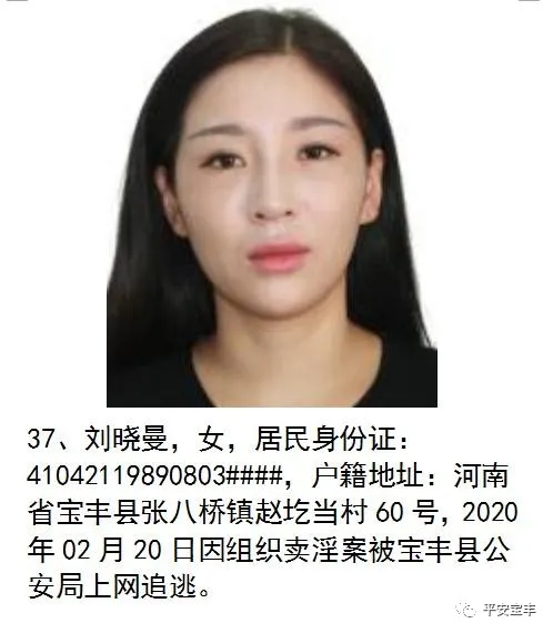 网上逃犯,网上逃犯名单查询系统