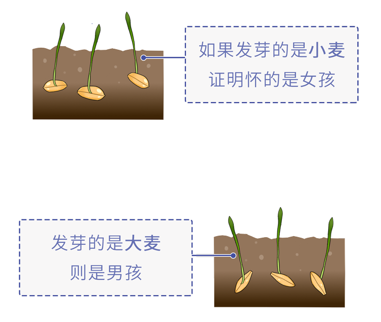 为了验孕，人类都用过哪些奇葩方法？如何用青蛙验孕？涨知识了