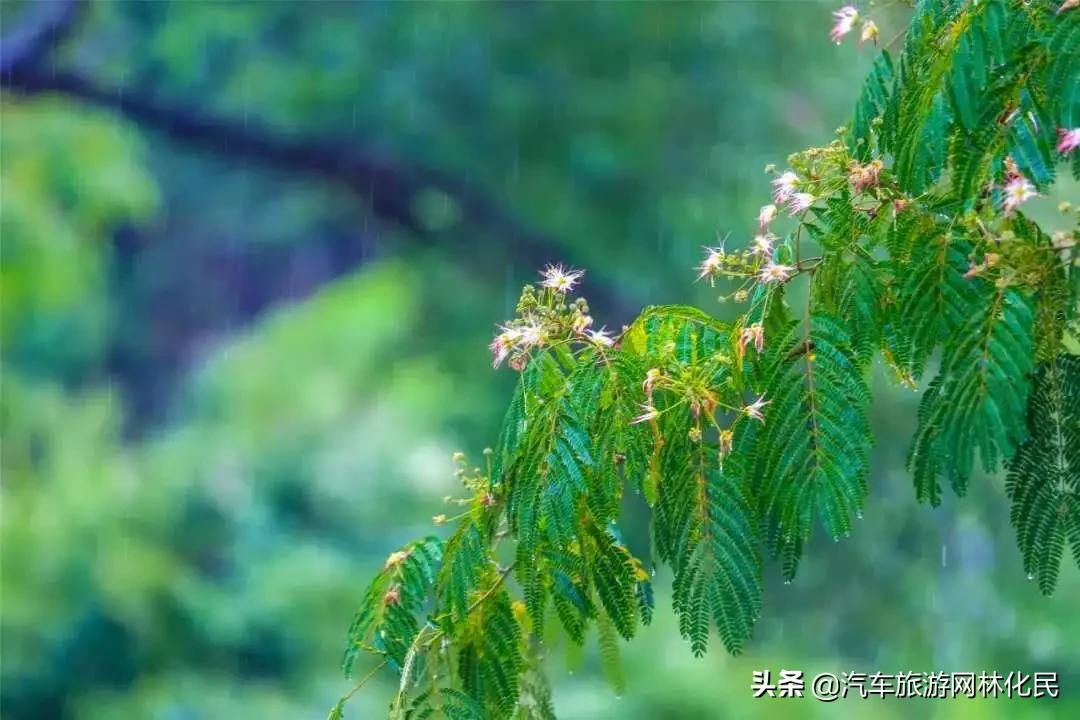 太行重磅精选（纯玩）万仙山+郭亮+云台山汽车3日游