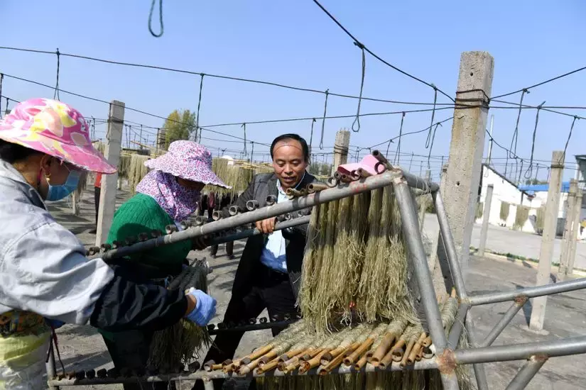 辞去上海老板，放弃百年年薪，他回“中国改革第一村”做淘宝