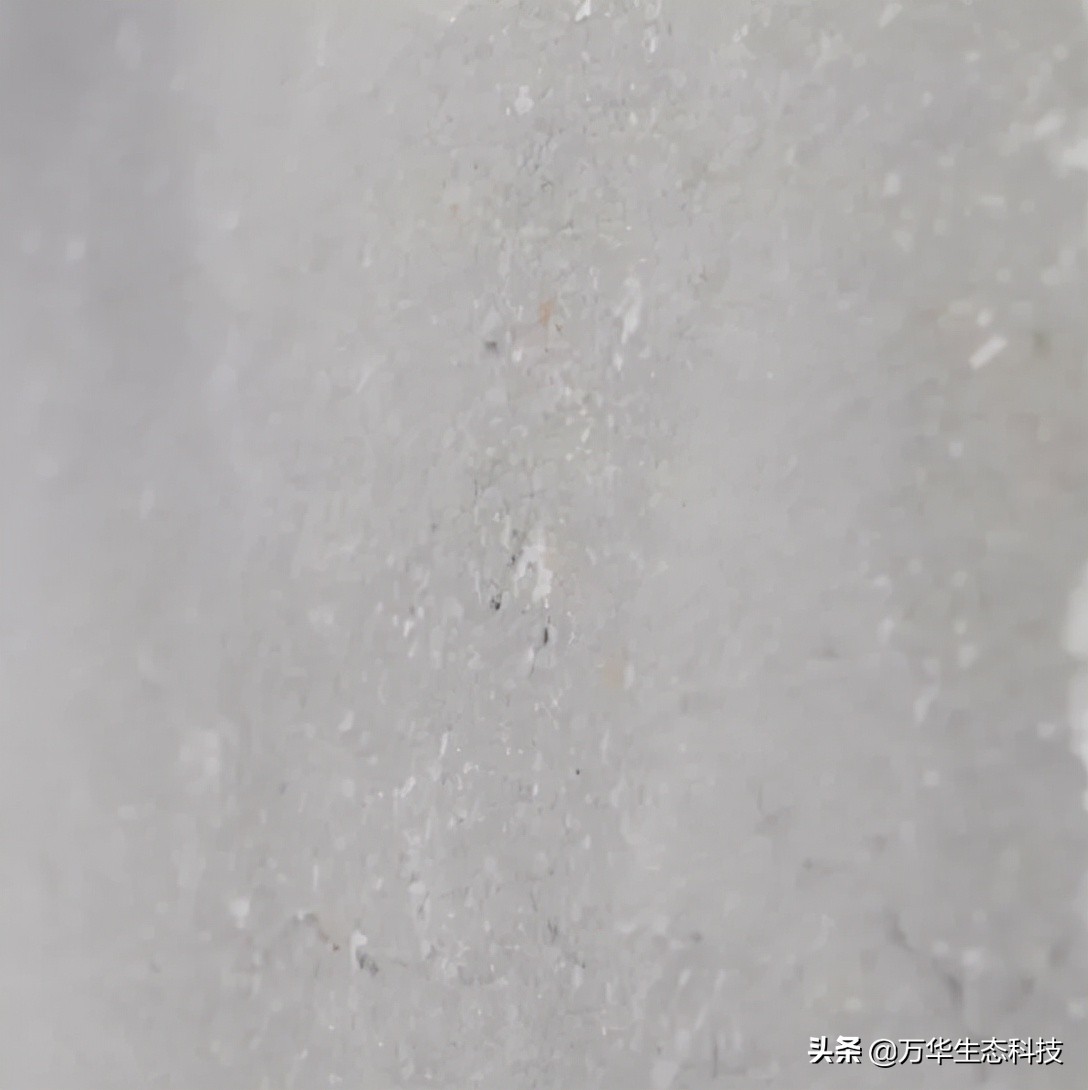萬華靈荃無醛防水膩?zhàn)?| 無醛、防水、不起皮、不掉粉