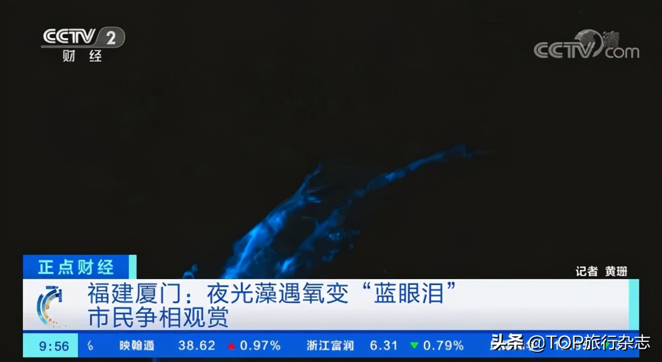 “蓝眼泪”迎来最好观赏季，长沙过去6小时，去奔赴一场蓝色梦幻海