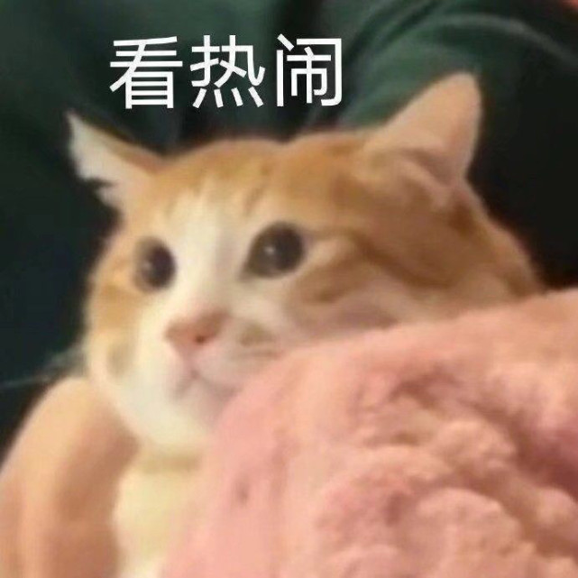 关于包拯的笑话