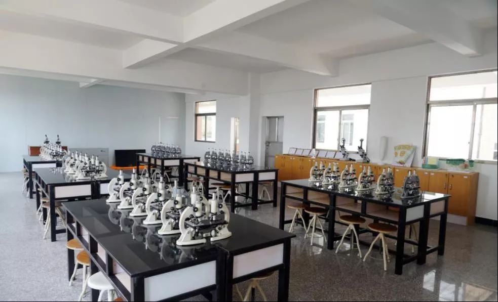 2020年3+证书最低录取167分，广东江门中医药职业学院介绍