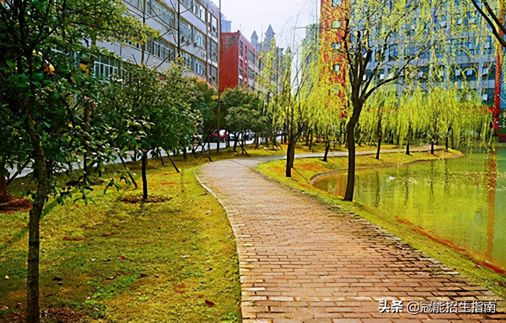 四川技术学校那些好-2021排名靠前的技校有哪些