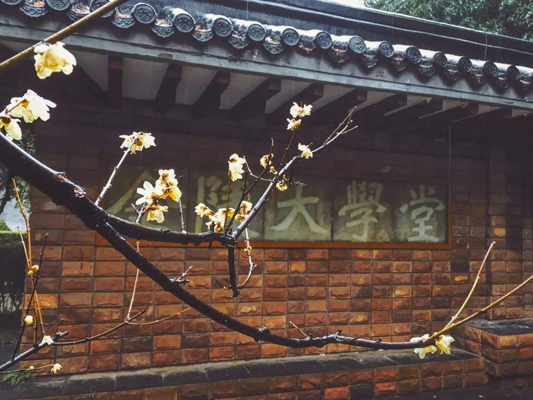 浙江高考最难考的30所大学，700分无缘清华北大，哈工大有点尴尬