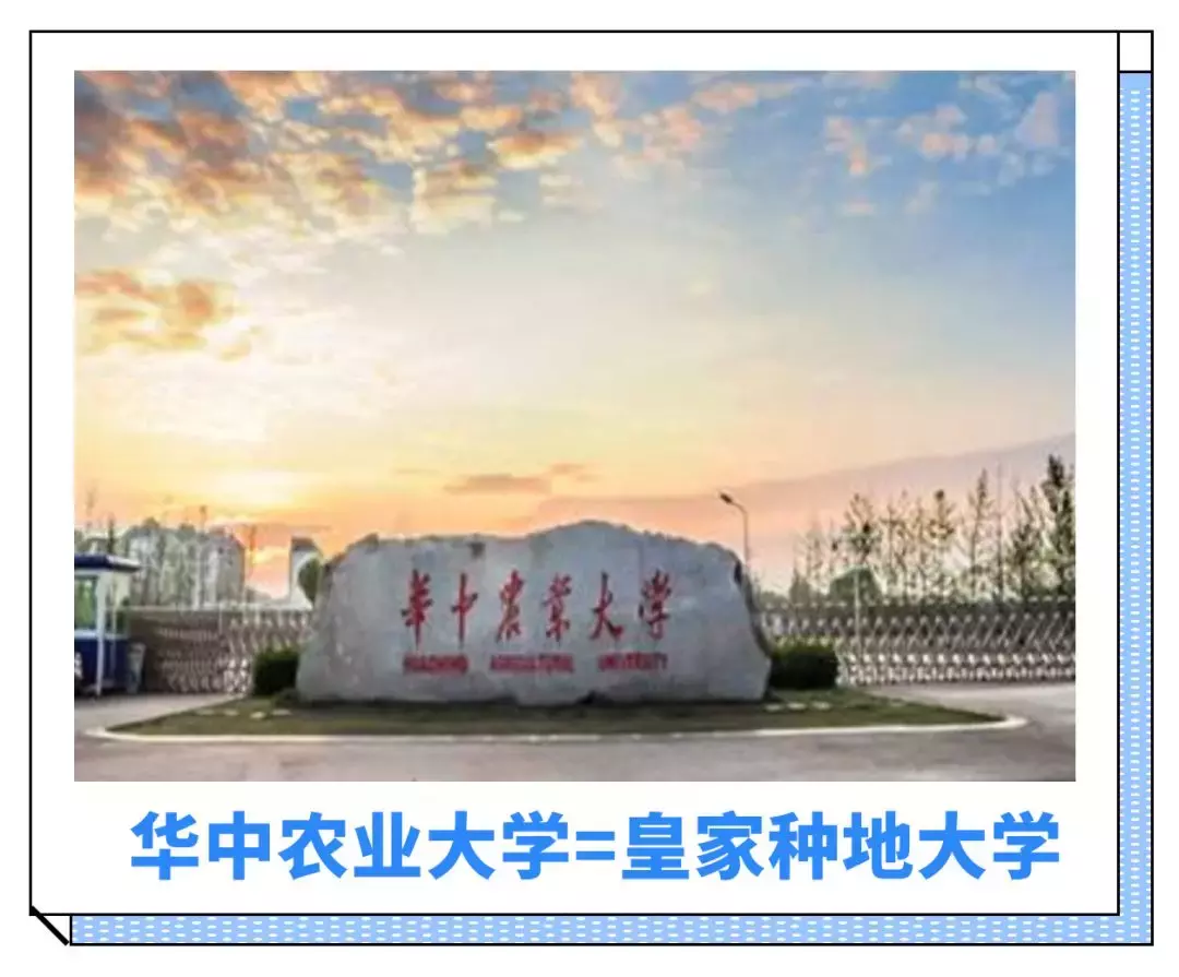 全国高校江湖名号大盘点，这么接地气的绰号你知道吗？