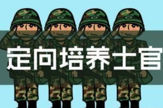 300分专科学校（300多分就能上）