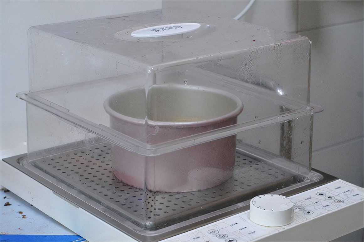 比蛋糕细腻、比发糕柔软，天气寒冷抓紧吃！这道冬天“黄金”糕