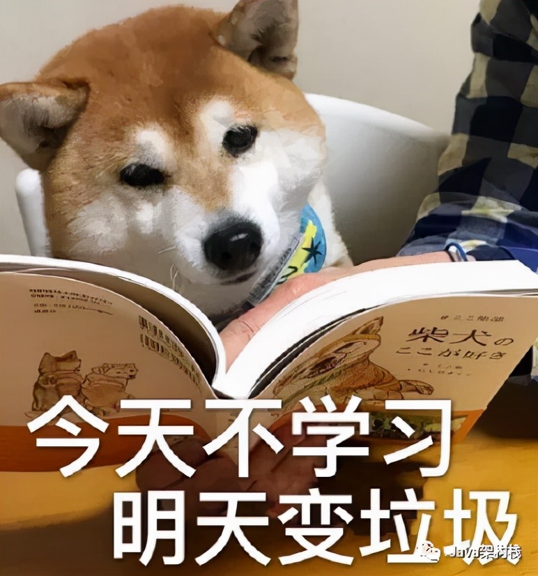 生产队上线丨千锋索尔《阿里RPC框架Dubbo源码级讲解》重磅来袭