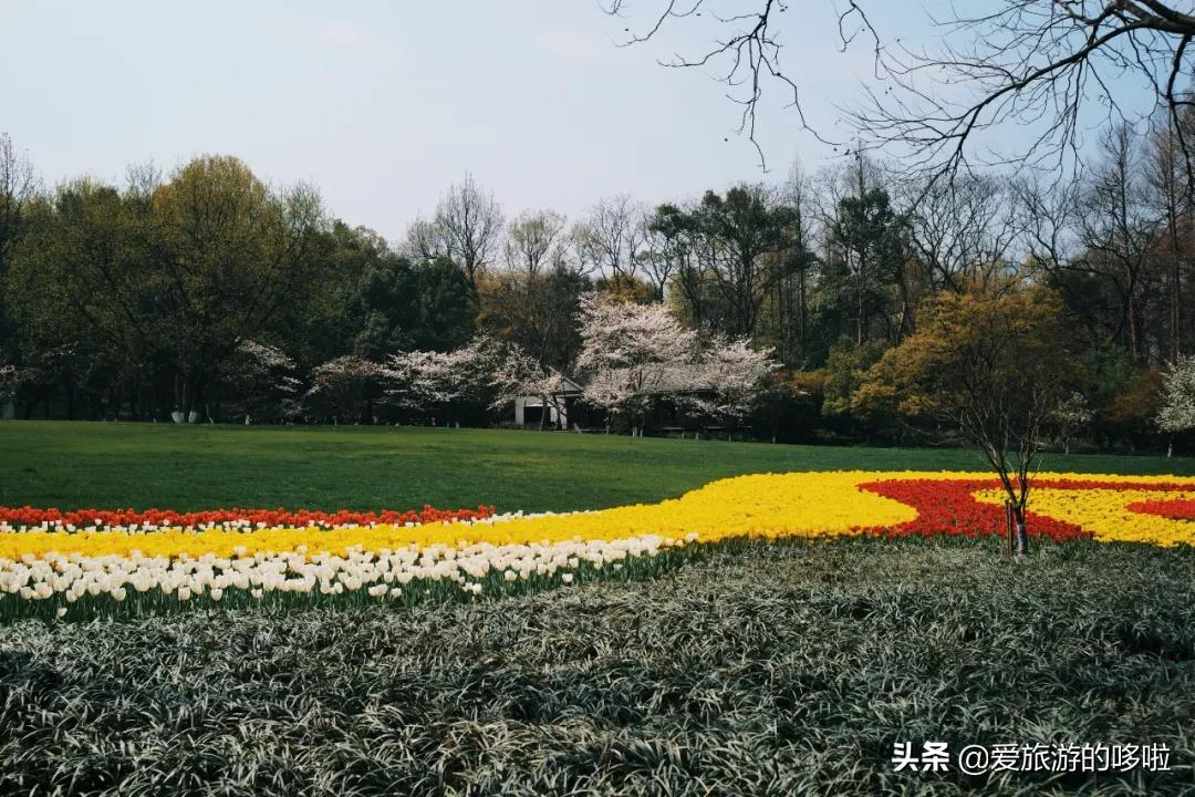 6块钱,包船游西湖