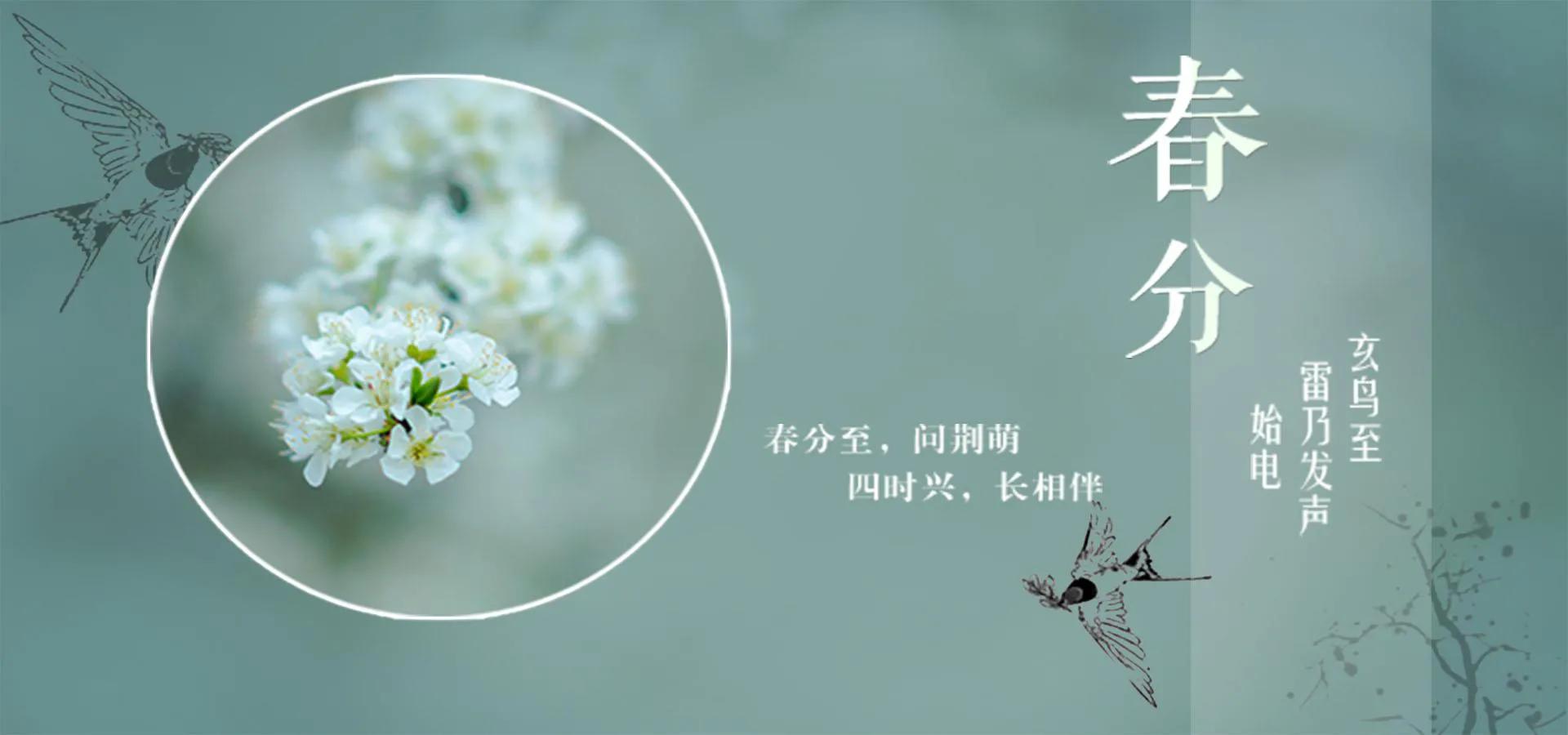 春分∣春去春来春已半，韶华倾负倒春寒