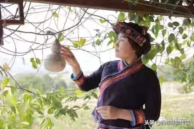 华宁陶的诗和远方