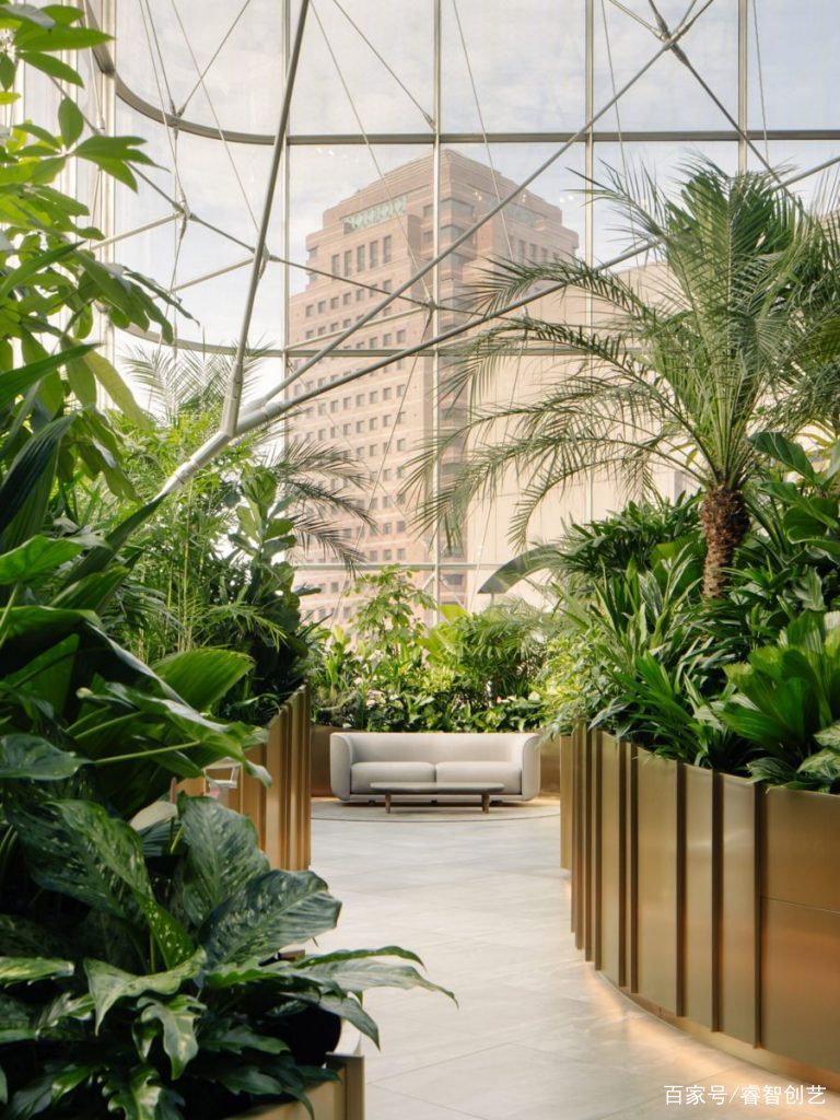 为蓊鬱盎然的热带绿植所包围的温室银行