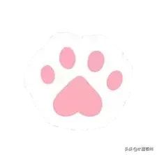 刷完100部“猫片”,发现你们对喵星人的偏见竟如此之大