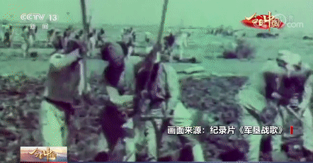 17位老人在宾馆地毯上睡了一夜，他们是谁？