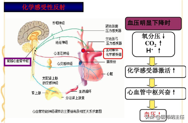 中青年人的高血压，为何高压不高，而低压高？治疗上，有何讲究？