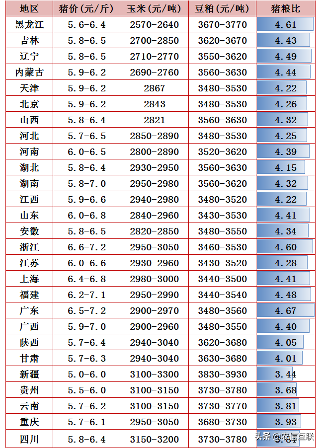 猪价“破6入5”！仔猪一头跌至200元，现在补栏中秋能否赚一笔？