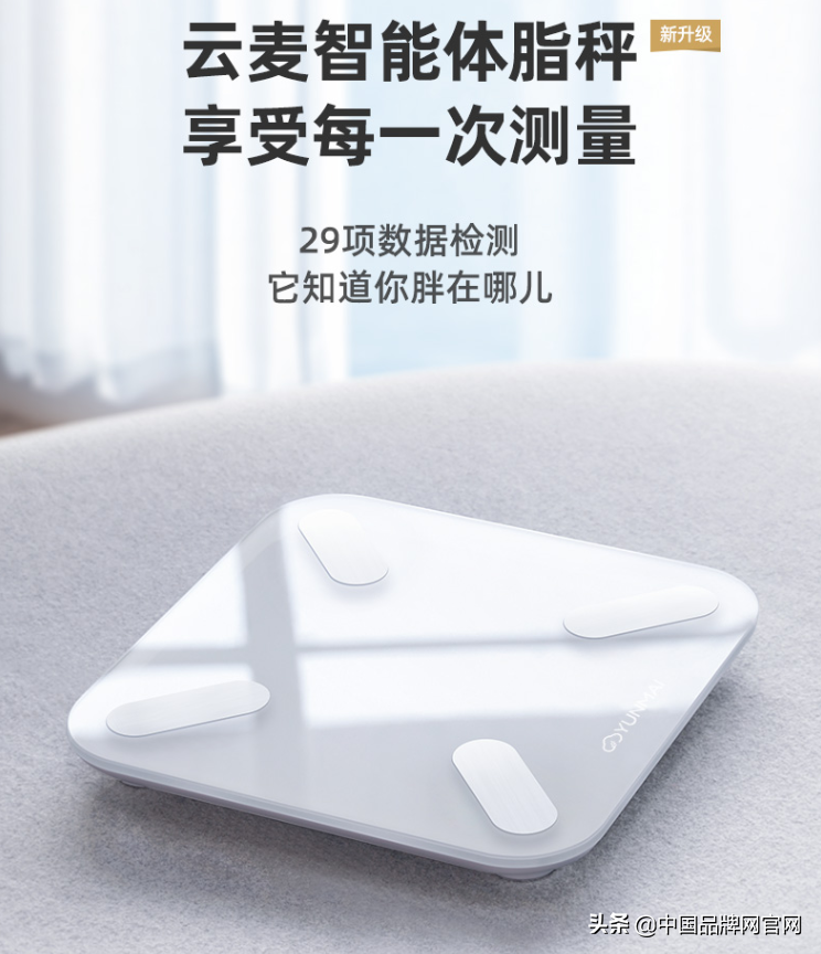 【十大品牌】体脂秤什么牌子的好?2020年体脂秤这样选